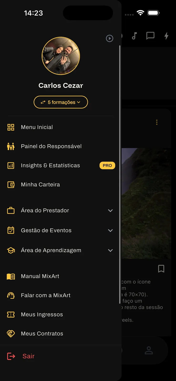 Menu do Artista — Insights, Histórico, Serviços, Formações, Local de Atuação — tudo num drawer.